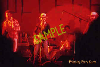 Bruce Springsteen @ Widener College 1974