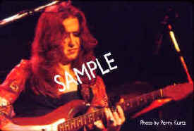 Bonnie Raitt